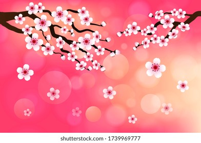Cherry blossom vector frame. pink sakura background