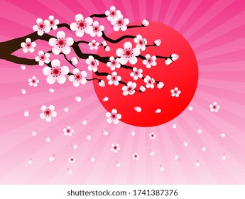 Cherry blossom vector frame. pink sakura and sunset background