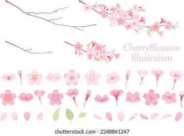 
Cherry Blossom Vector Illustration Set　
