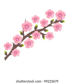 Cherry blossom. Vector illustration