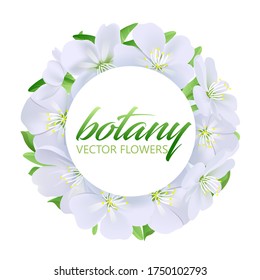 Cherry blossom vector illustration for a card in the shape of a circle. Round frame of white flowers. Delicate botanical composition.