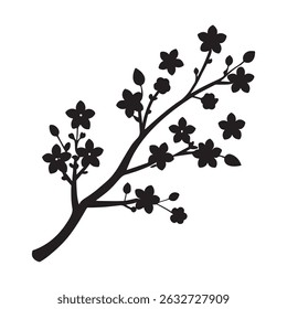 Cherry blossom vector illustration, Cherry flowers silhouette vector black and white