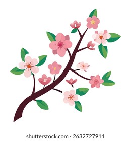 Cherry blossom vector illustration, Cherry flowers silhouette vector black and white