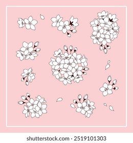 Cherry blossom vector illustration material