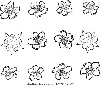 Ilustración vectorial de la flor de cerezo en blanco aislado. Flor de plumas para el dibujo de doodle en segundo plano. Vector de sakura para el diseño de tatuajes. Flor de símbolo de la colección vecor de la flor japonesa.Bonita floral