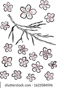 Cherry blossom vector illustration on white isolated.Peach blossom for doodle art on background.Sakura vector for tattoo design.Symbol flower of Japanese.Plum blossom vecor collection.beautiful floral