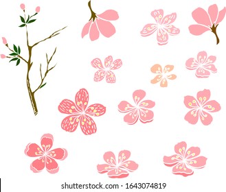 Cherry Blossom Vector Illustration On White Isolated.Peach Blossom For Doodle Art On Background.Sakura Vector For Tattoo Design.Symbol Flower Of Japanese.Plum Blossom Collection.beautiful Floral.