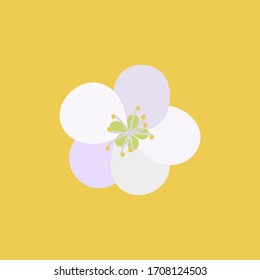 Cherry blossom . Vector illustration for postcard design and more