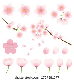 Conjunto de Ilustración vectorial de flor de cerezo. Ilustración vectorial sobre fondo blanco.