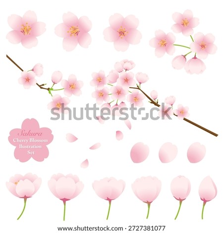 Cherry Blossom Vector Illustration Set. Vector illustration on a white background.