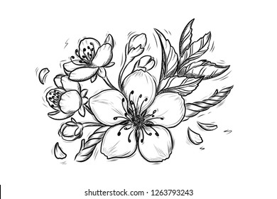 Ilustración de arte de Cherry Blossom Vector Line. Esbozo dibujado a mano Sakura Spring para promoción de temporada, venta, tarjeta de saludo romántico, afiche, banner, impresión. Patrón floral aislado sin fondo