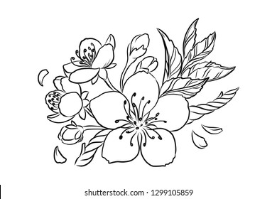 Cherry Blossom Vector Lineart Illustration. Sakura Spring hand drawn Sketch for seasonal promo, sale, romantic greeting card, poster, banner, printing. Floral pattern isolated without background