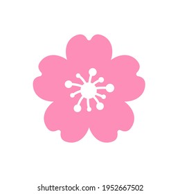 Cherry blossom vector Pink cherry blossoms blooming Isolated on white background