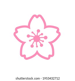 Cherry blossom vector Pink cherry blossoms blooming Isolated on white background