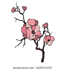 Vetor de flor de cerejeira. Fundo de flor de sakura rosa. Vetor de flor de flor de cerejeira. Ramo de flor de cereja com flor de sakura. Sakura sobre fundo branco.