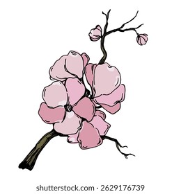 Vetor de flor de cerejeira. Fundo de flor de sakura rosa. Vetor de flor de flor de cerejeira. Ramo de flor de cereja com flor de sakura. Sakura sobre fundo branco.