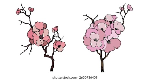 Vetor de flor de cerejeira. Fundo de flor de sakura rosa. Vetor de flor de flor de cerejeira. Ramo de flor de cereja com flor de sakura. Sakura sobre fundo branco.