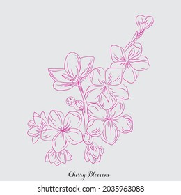 Cherry blossom vector unlimited download here. A high-resolution vector file. You can customize your size