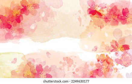 Cherry blossom watercolor spring background illustration