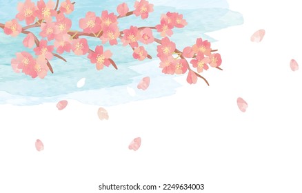 Cherry blossom watercolor spring background illustration