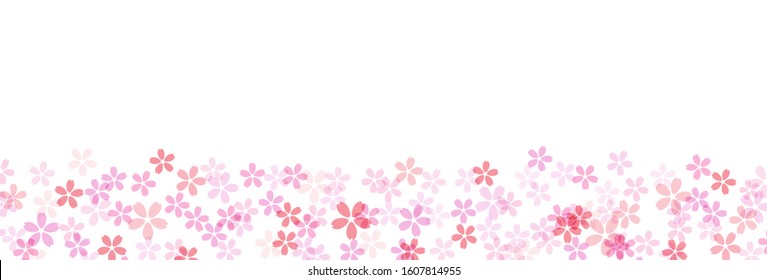 Cherry blossom wide border background material