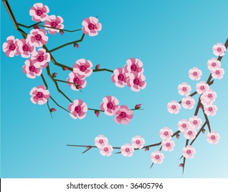 Seamless Pattern Branch Cherry Blossom Flowers Stock Illustration 748863262