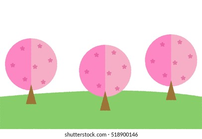 Cherry Blossoms