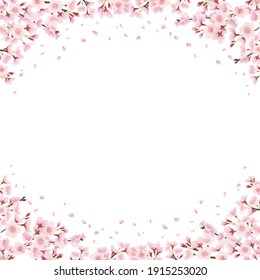 Cherry blossoms all around, landscape illustration looking up at cherry blossom trees Decoration, frame, decoration around (square)