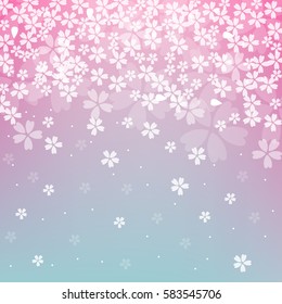 Cherry blossoms background