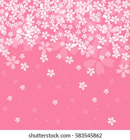 Cherry blossoms background