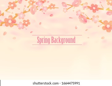 Ilustración de fondo de las flores de cerezo ( tema de la temporada de primavera ) 