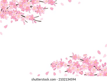 Cherry blossoms Background, Vector illustration