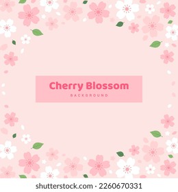 Cherry Blossoms background vector illustration. Pink Sakura flower frame