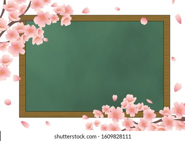 Cherry blossoms and blackboard background material.