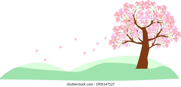 Cherry blossoms blooming on the hill Background material