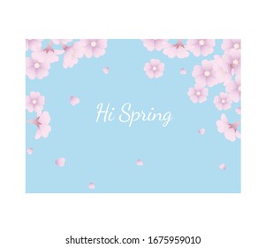 cherry blossoms in the blue sky