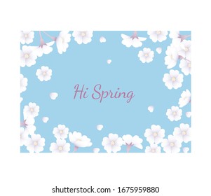 cherry blossoms in the blue sky