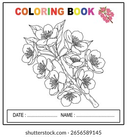 Cherry blossoms branch coloring page for kids