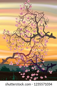 Cherry blossoms. Branches with flowers