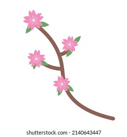 Cherry blossoms and branches. Vector.