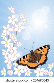 cherry blossoms and butterflies on a background of blue sky