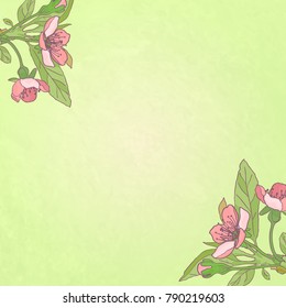 Cherry blossoms, close-up on a light background. Spring background. Blooming  cherry. Vector Illustration .Eps 10.