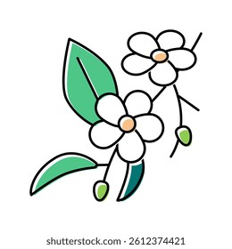 cherry blossoms color icon vector. cherry blossoms sign. isolated symbol illustration