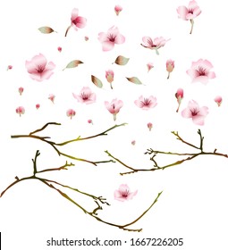 cherry blossoms. Cute hand-drawn elements isolated on a white background. Doodle vector illustration for wedding design, logo, greeting card, print