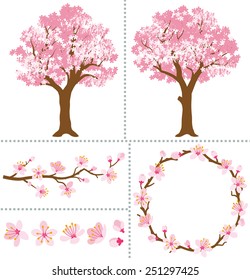 Cherry Blossoms for Design Elements