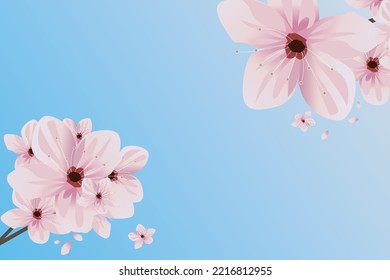 cherry blossoms fall in the morning