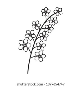 Cherry Blossoms Floral Hand Drawn. Vector Design Illustration Sign Logo.