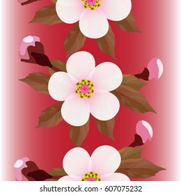 Cherry blossoms floral pattern on Burgundy background. Sakura flowers seamless texture. Vector