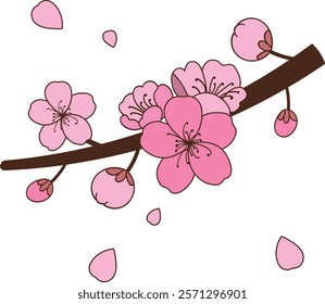 cherry blossoms, Cherry, flower, blossom
