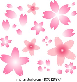 cherry blossoms flower drift